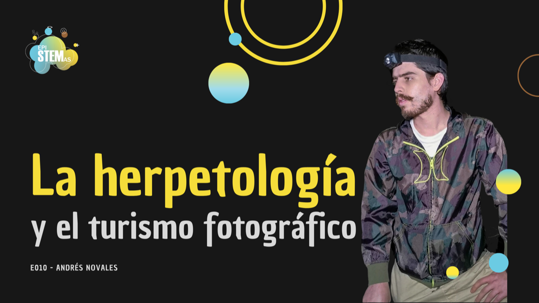 La herpetología y el turismo fotográfico. Andrés Novales: fotógrafo de vida silvestre.