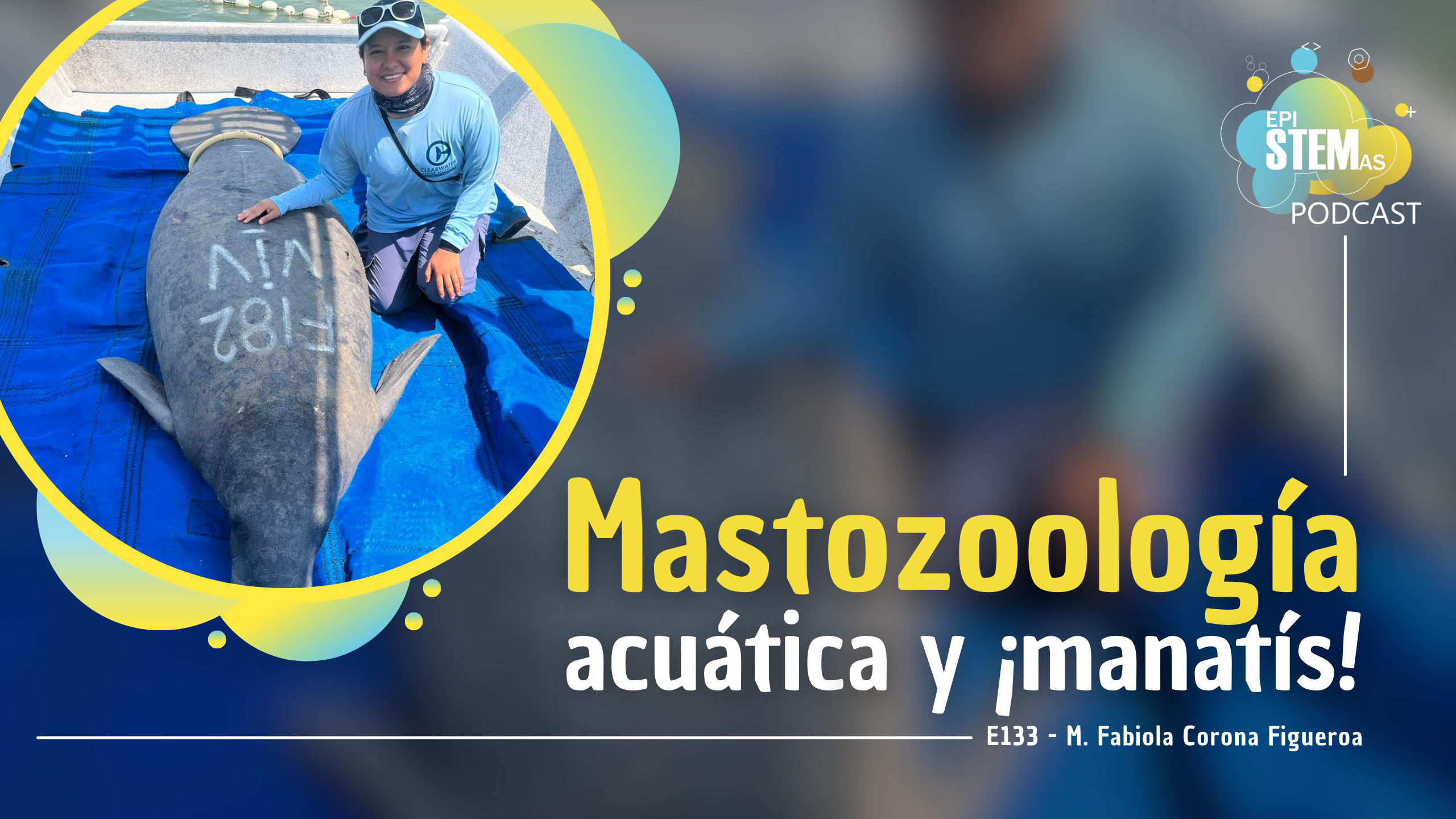 Mastozoología acuática y ¡manatís!